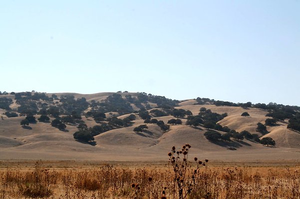 IMG 8539