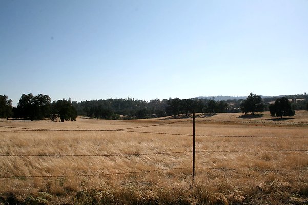 IMG 8551