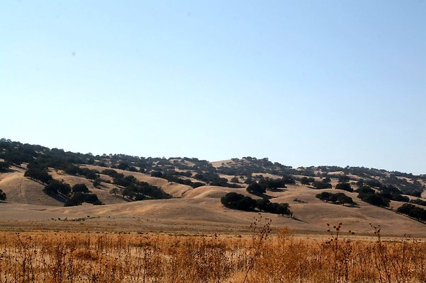 IMG 8540