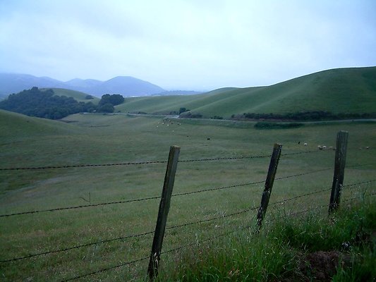 DSCF0046