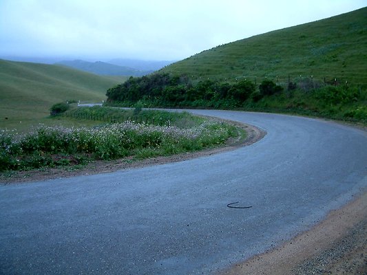 DSCF0041