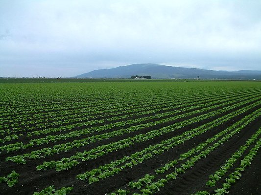 DSCF0348