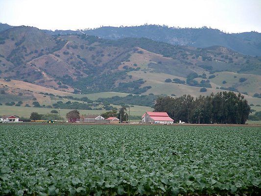 4. farm with red barn and strawberry field- off Old Stage Rd at Encinal, Salinas