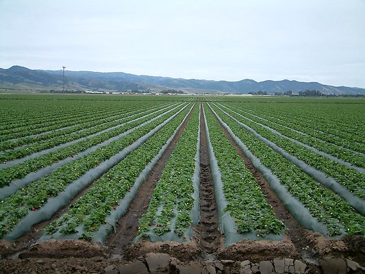 DSCF0425