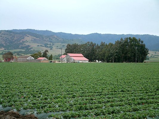 DSCF0426