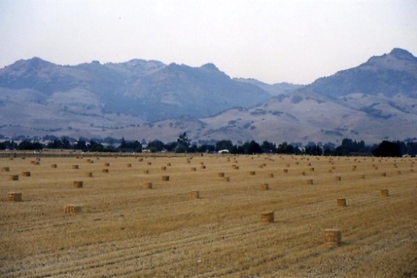 Hollister-hayfield018