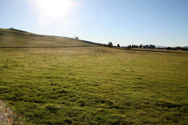 IMG 4607