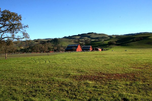 2. Harvey Bear Ranch Park, Gilroy, Santa Clara Co.