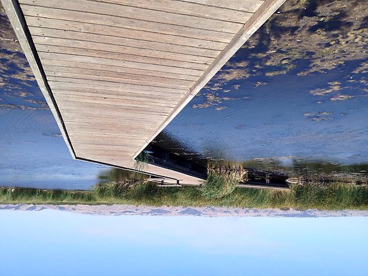 Coyote Hills- Southern SF Bay