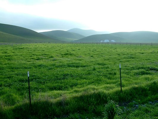 TassajaraFields-vista 2