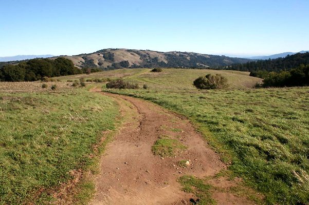 Russian Ridge, San Mateo Co