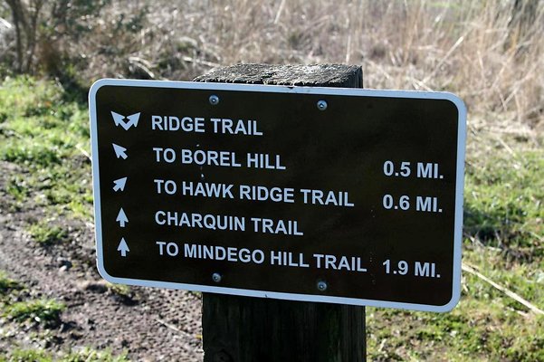 Borel Hill-Ridge Trail