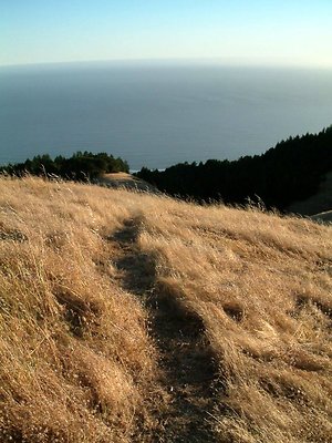 DSCF0398