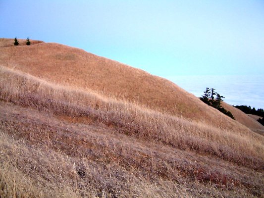 DSCF0046