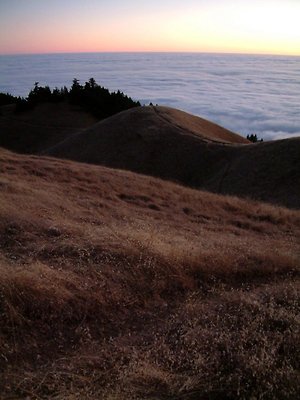 DSCF0051