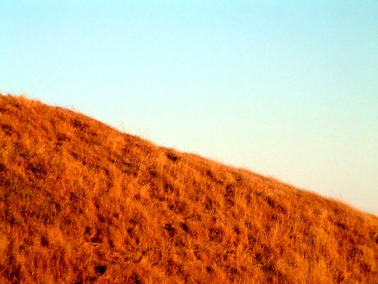 DSCF0005