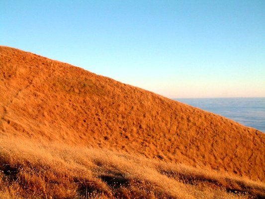 Mt. Tam-Bolinas Ridge- Willow Camp Fire Road