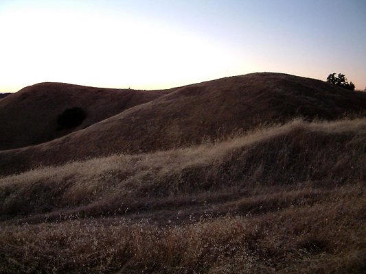 DSCF0039
