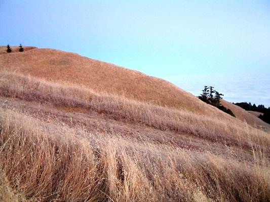 DSCF0047