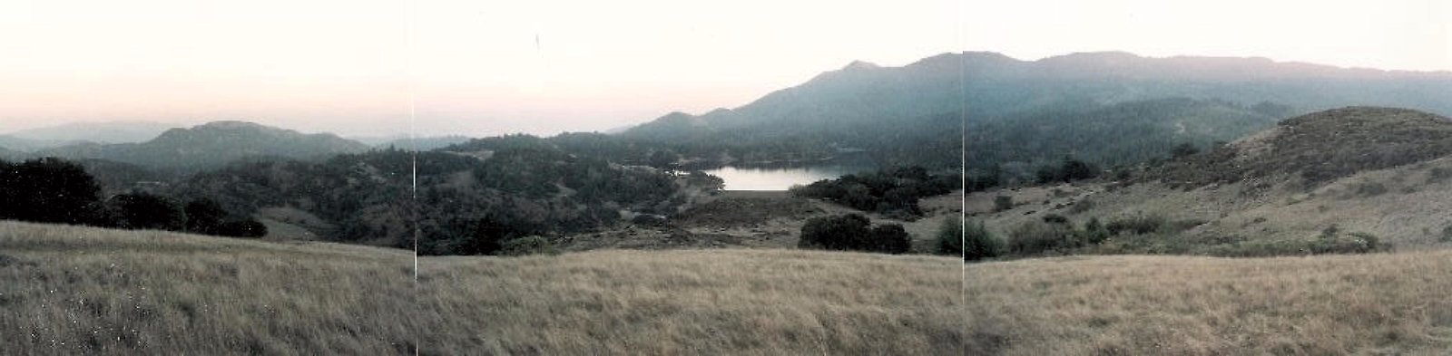 Tamalpais-Backside-SaddleB-F-1