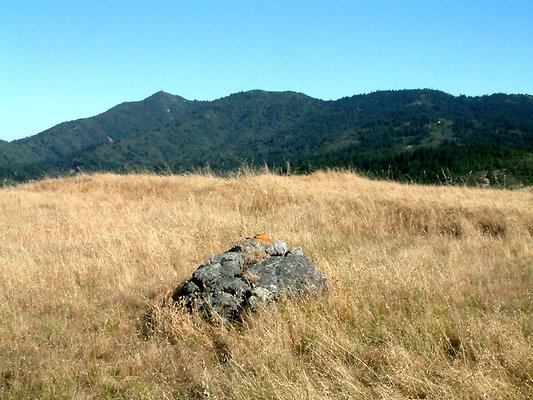DSCF0134