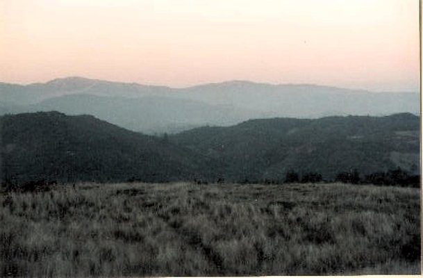 Tamalpais-Backside-SaddleB-F-3