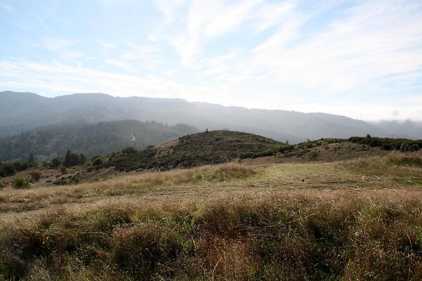 IMG 2741