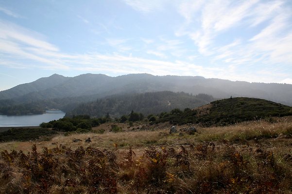 IMG 2743