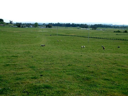 DSCF0229