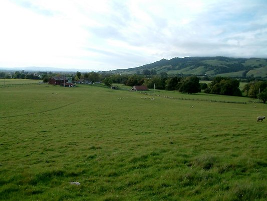 DSCF0265