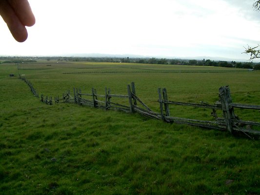 DSCF0311