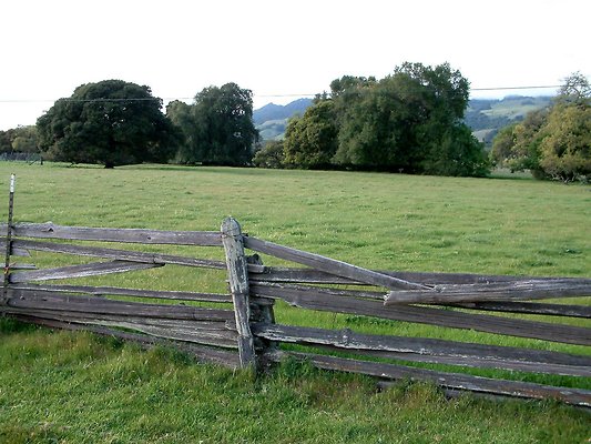 DSCF0245
