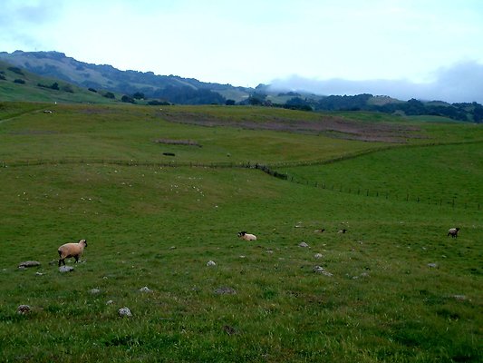 DSCF0293