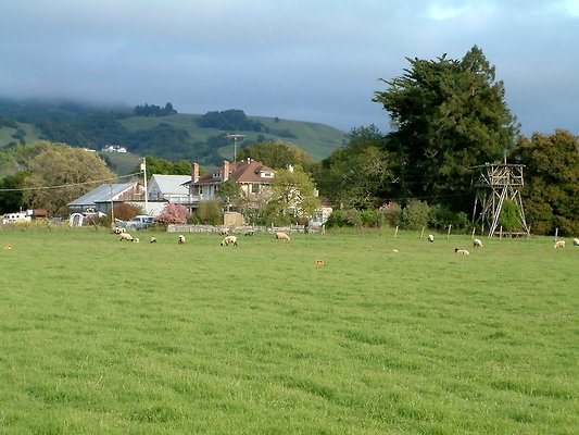 2. lower fields- Crane Ranch