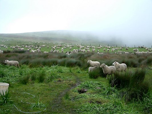 DSCF0021
