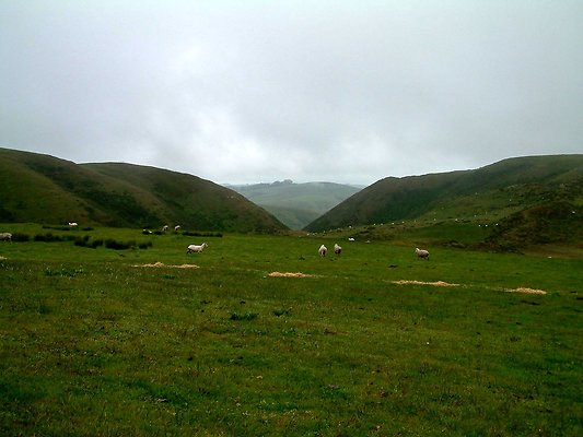DSCF0054