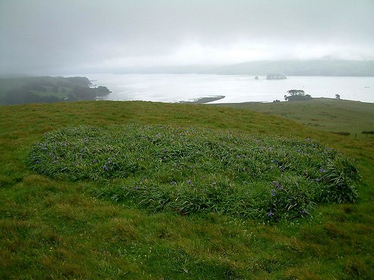 DSCF0039