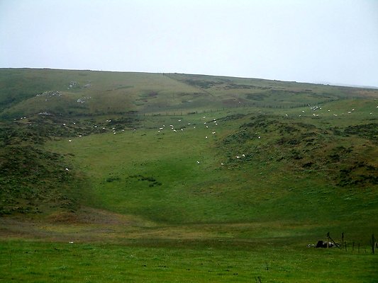 DSCF0055