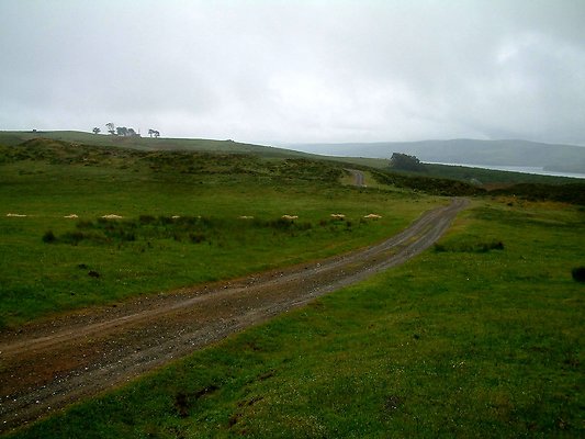 DSCF0060