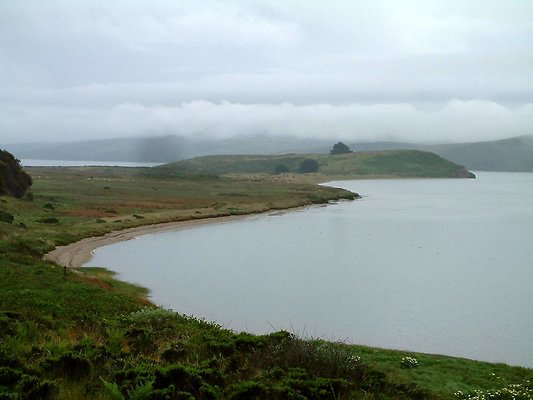 3. Pozzi, Sally-Tomales ranch