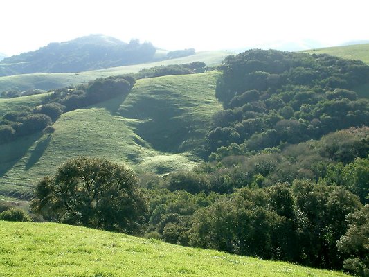 DSCF0100
