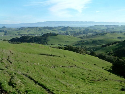 1. Jacobsen ranch, Wilson Hill rd, Petaluma Gap