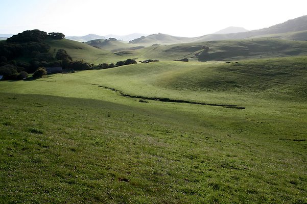 IMG 0575