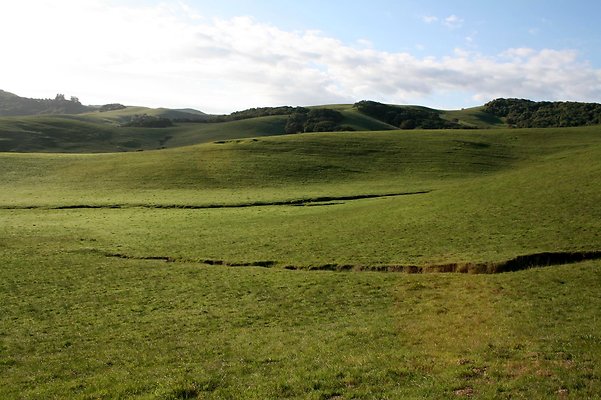 IMG 0579