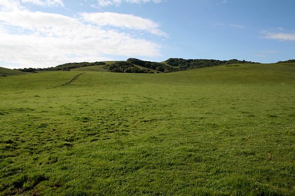 IMG 0583