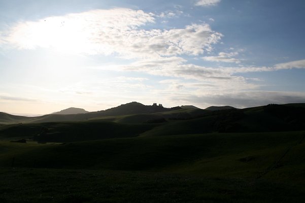 IMG 0567