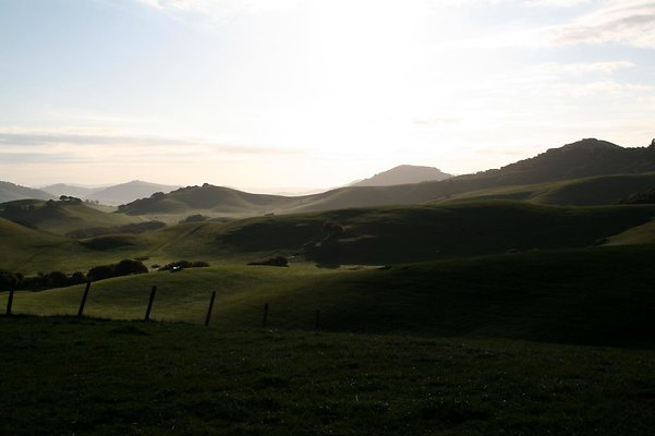 IMG 0566