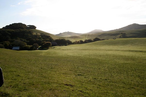 IMG 0577