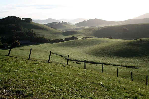 IMG 0563