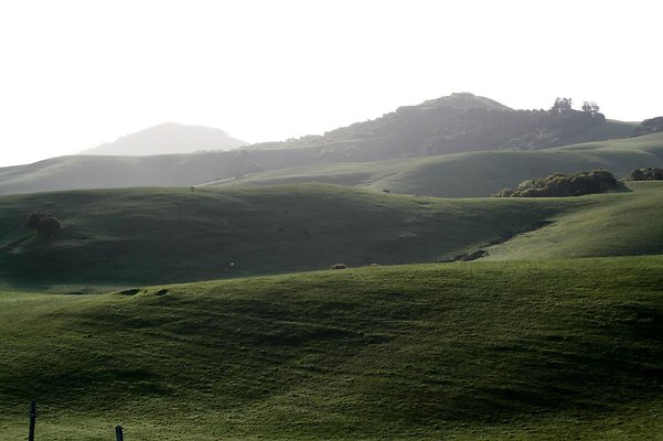 IMG 0570